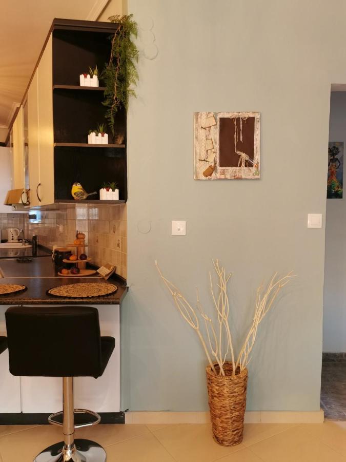 Theia Analipsi Central Apartment Kateríni Eksteriør billede